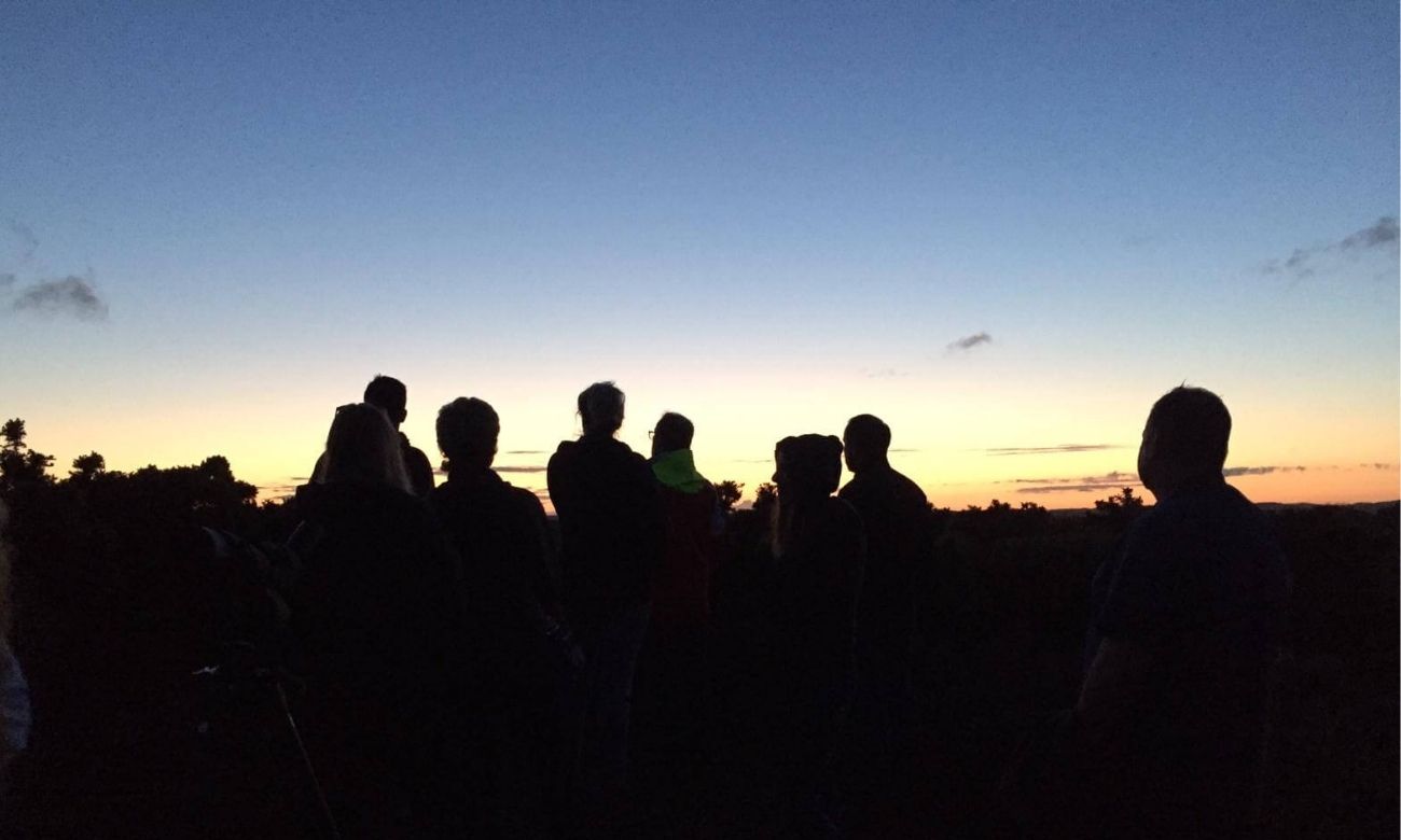 Team nightjar walk with Birds of Poole Harbour