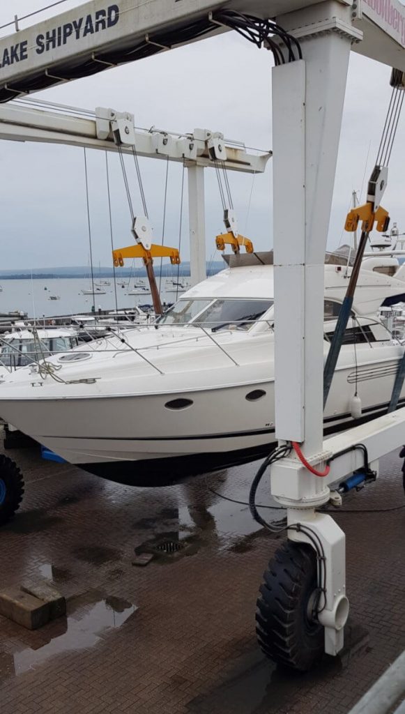 Saltwater Lady lifted for the first time in 15 months