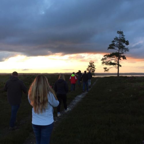 Team nightjar walk with Birds of Poole Harbour