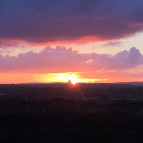 Team nightjar walk with Birds of Poole Harbour