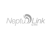 Neptulink Logo - Grey